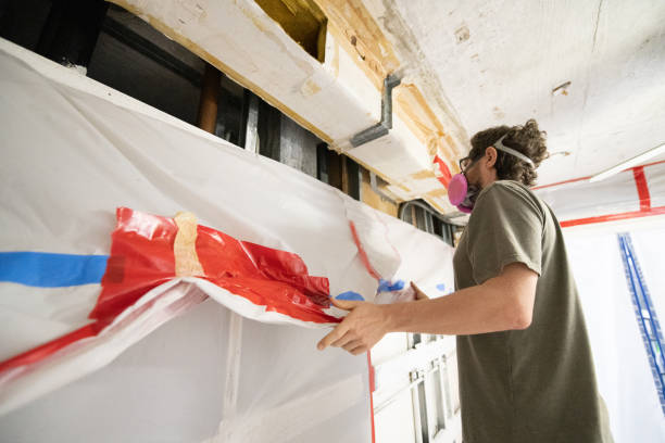  Pine Lawn, MO Mold Removal Pros